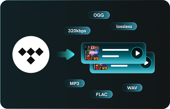 tidal music converter
