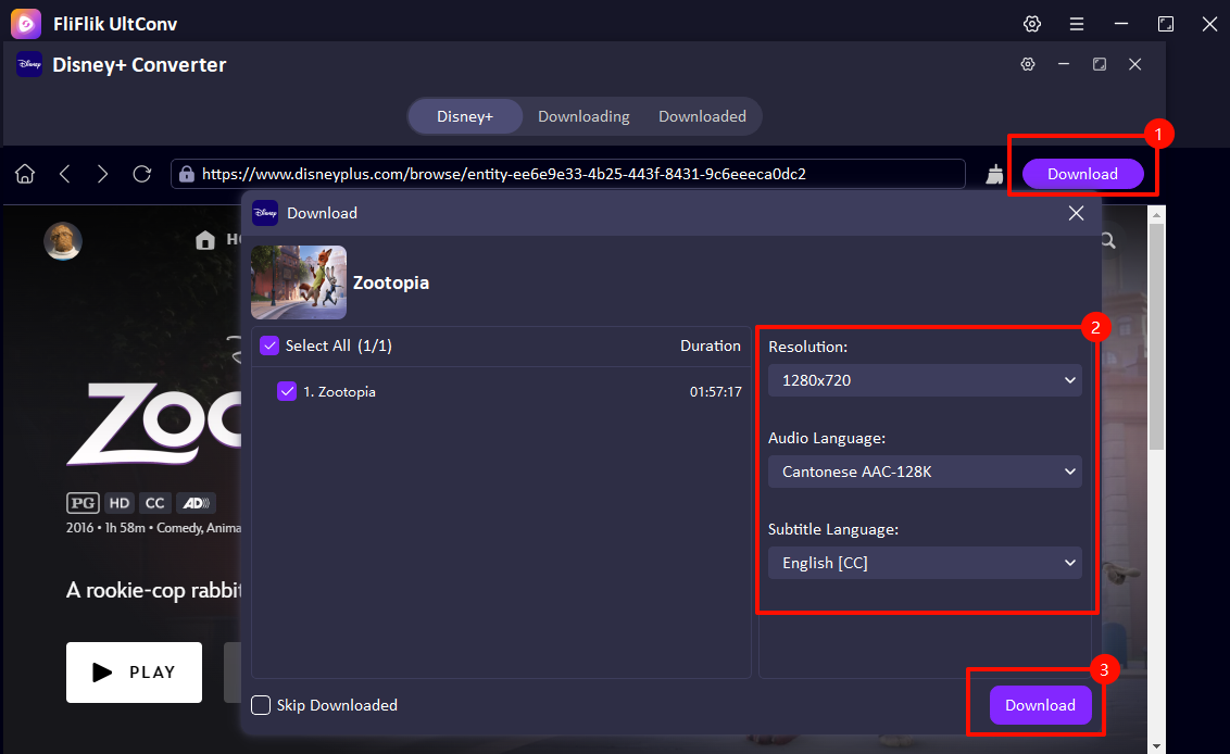 select download options in ultconv