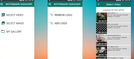 apps to remove watermarks from videos