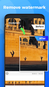 best app to remove tiktok watermark