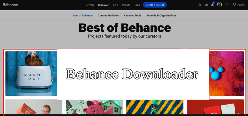 Behance Downloader