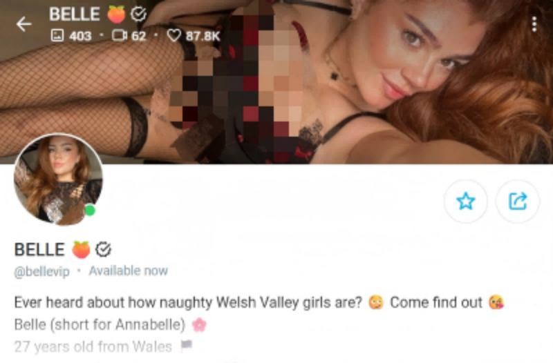 bbw creator profile belle