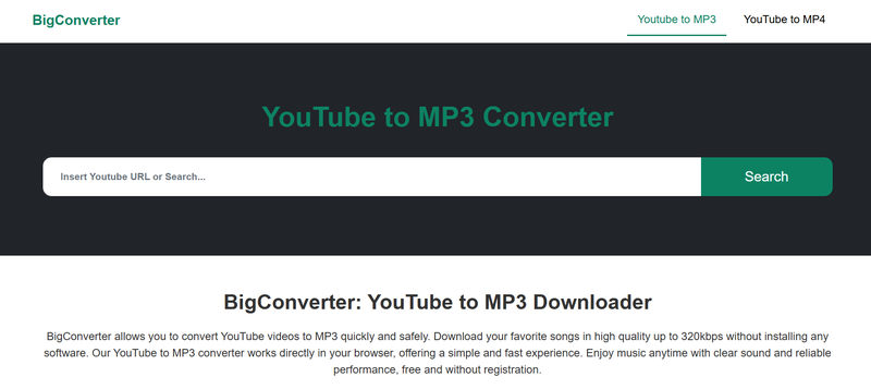 Bigconverter Youtube Video to Mp3 Interface