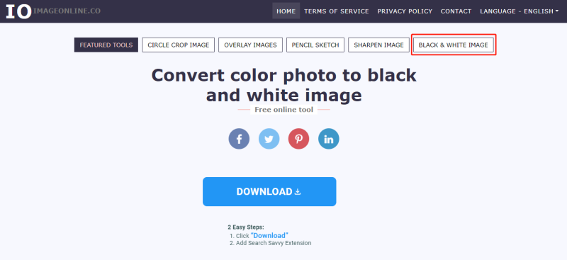 Black and White model