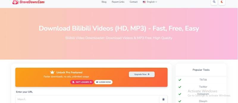 bravedown bilibili downloader