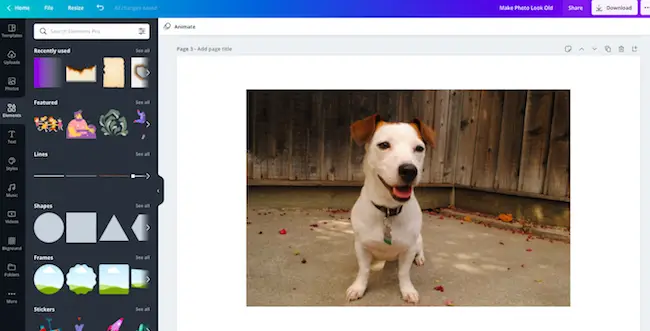 Choose Template on Canva