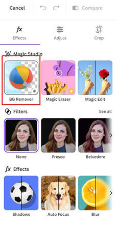 edit image canva remove background