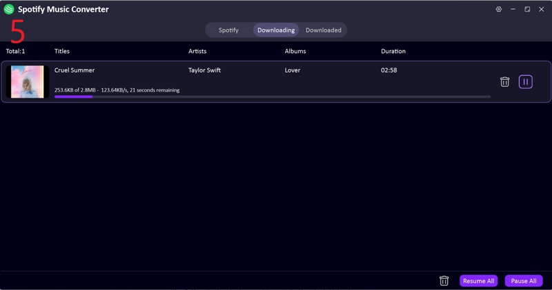 Check Downloaded Spotify Songs