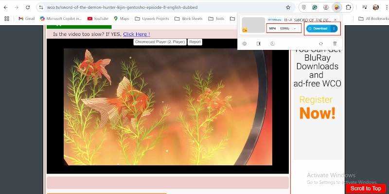 Choose Format and Download