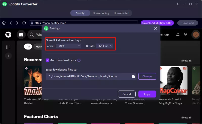 Choose Spotify Mp3 Format in Ultconv
