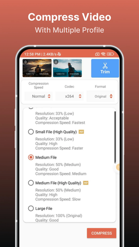 Choose Compression Profile in Video Compressor