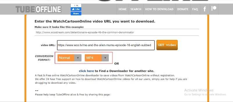 Choose Video Format Type