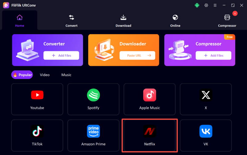 Ultconv Netflix Downloader Main Interface