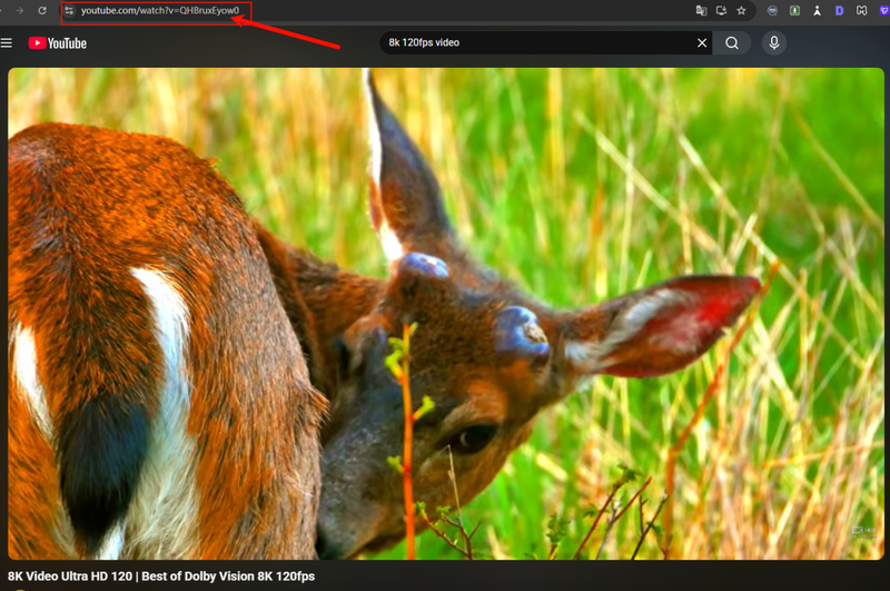 Copy 8k Youtube Video Url