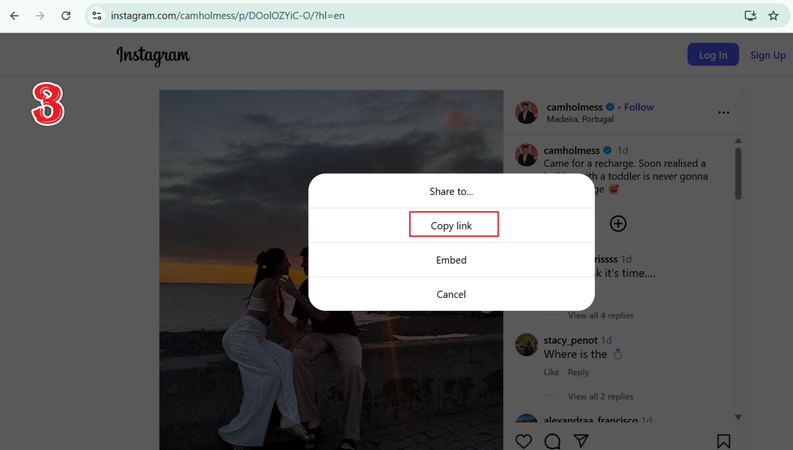 Copy Instagram Reel Link