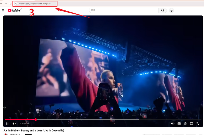 Copy Youtube Video Link from Browser