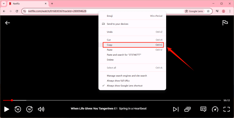 copy netflix url