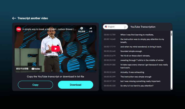 Copy or Download Subtitles in Fliflik YouTube Transcript Generator