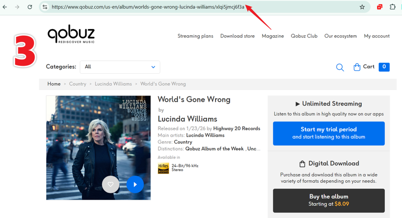 Copy Qobuz Music Link