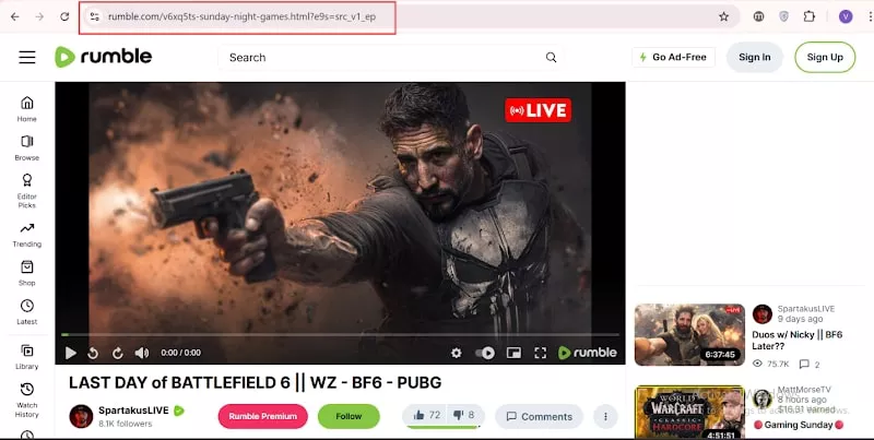 VidGrabber, a simple vimeo video grabber online