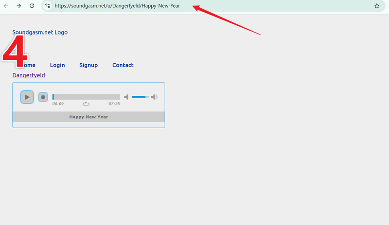 Copy Soundgasm Video Link