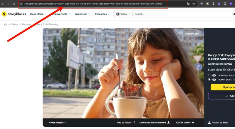 Copy Storyblocks Video Link from Browser