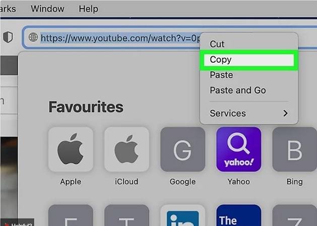 copy youtube playlist links 4k video downloader