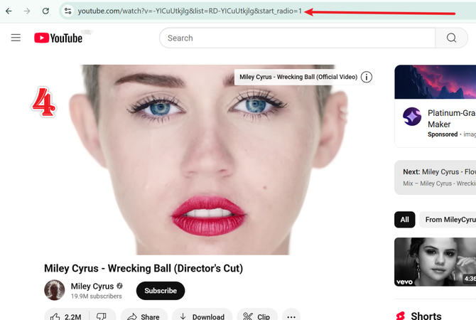 Copy Youtube Video or Playlist Url