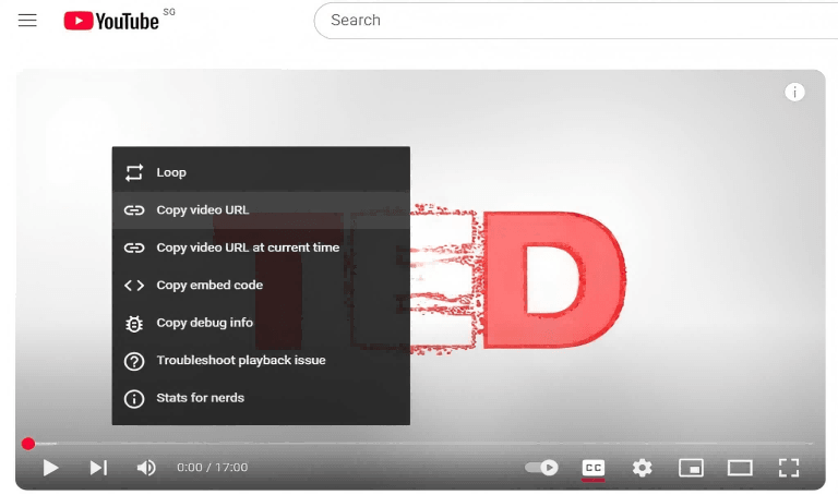 Copy YouTube Video URL