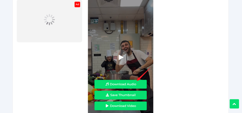 Download Audio with Toolzin