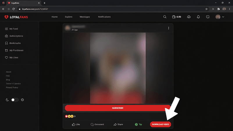 download-loyalfans-videos-with-loyalfans-downloader