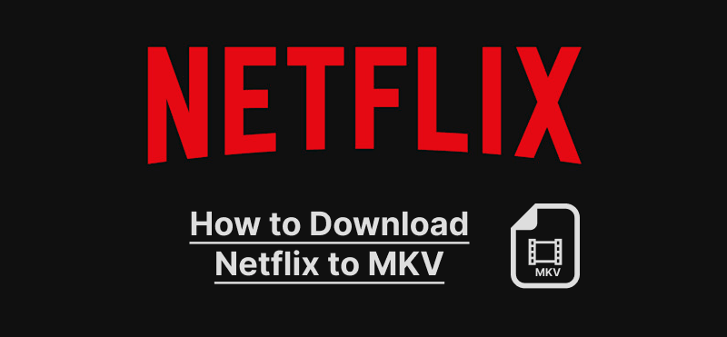 download netflix to mkv