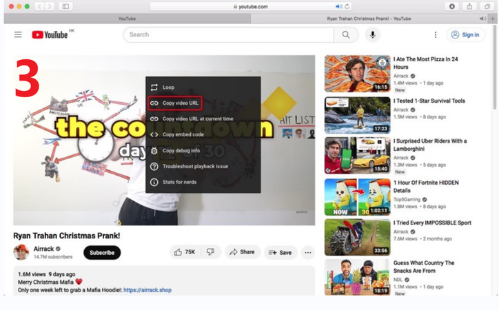 Copy Safari Video Url to Download