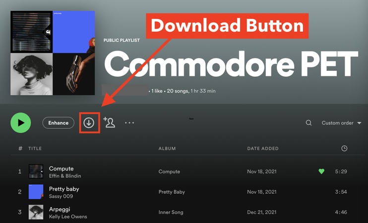 Download Songs from Spotify Desktop