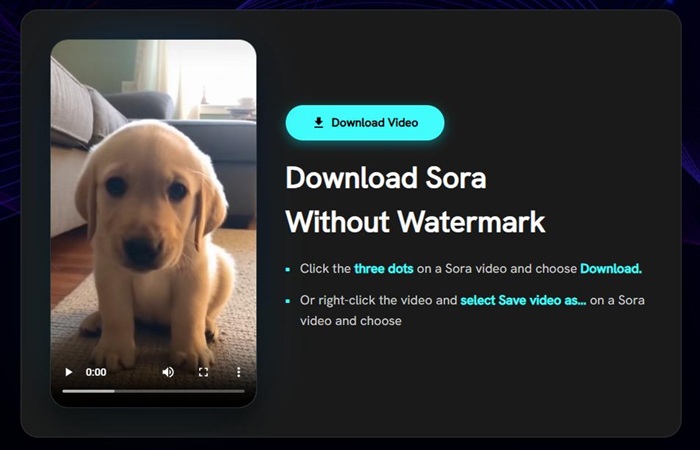 Download Sora Video Without Watermark