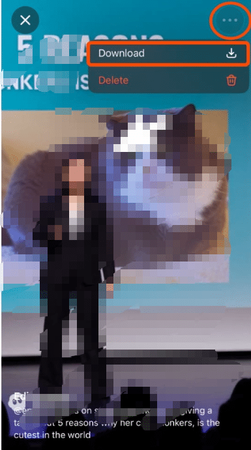 Download Sora Videos Ios