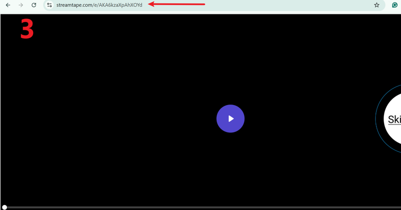 Copy Streamtape Video Url to Download