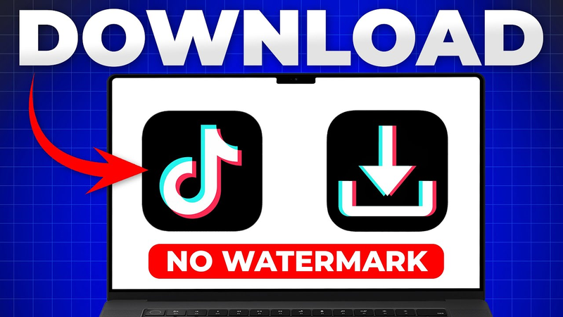 Tiktok Story Downloader