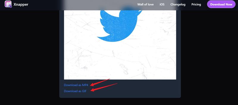 Download Twitter Gif Using Xnapper Tool