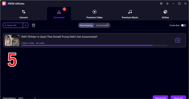 Download Worldstarhiphop Video in Ultconv