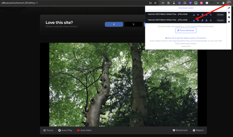 Download Yflix Movie Using Cococut Video Downloader