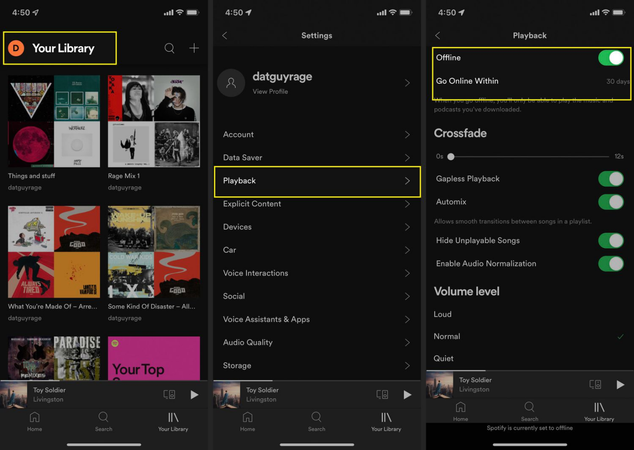 Enable Spotify Offline Mode on Desktop