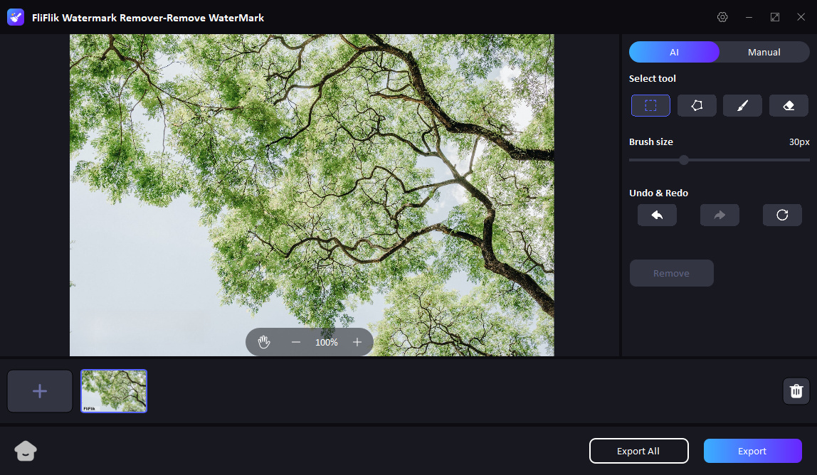 [OFFICIAL]How to Remove Watermark with FliFlik Watermark Remover