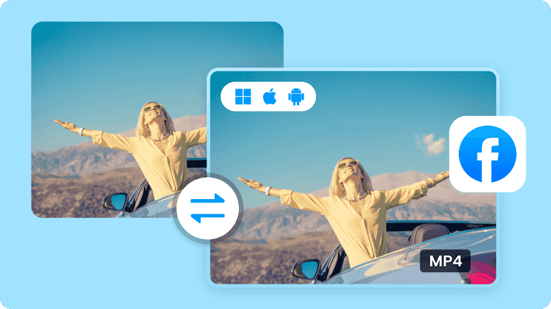 facebook video to mp4 converters