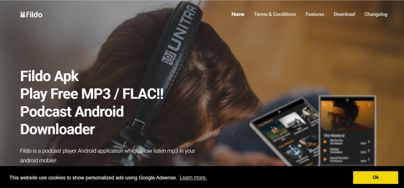 Download Spotify Music Using Fildo