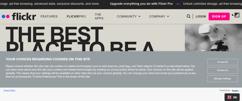 Flickr Photo Hosting Platform Interface