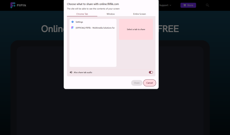 Select Screen and Audio Options in Fliflik Recorder