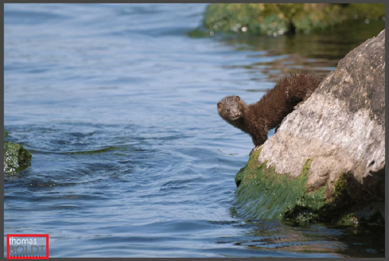 remove watermark in gimp