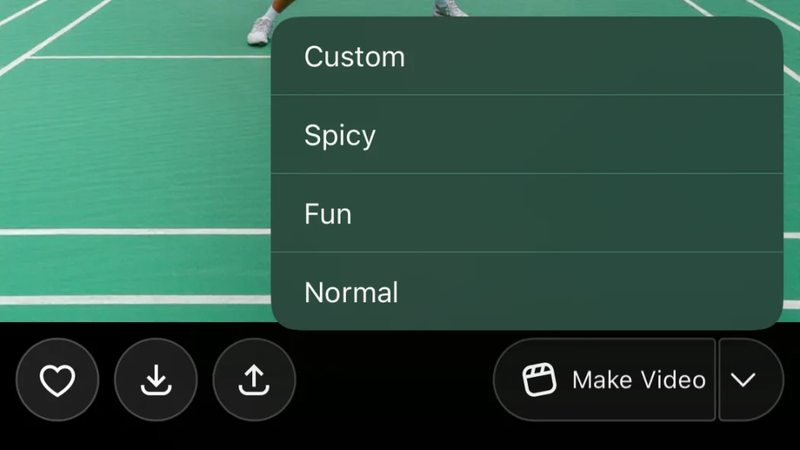Grok Imagine Spicy Mode Selection