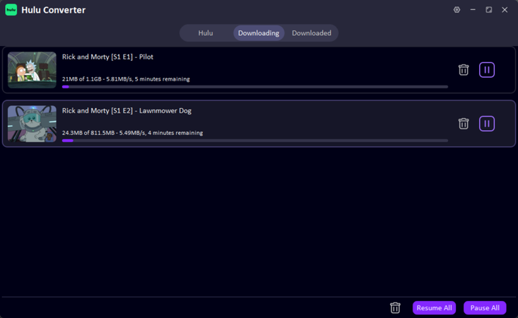 Hulu Video Saved Offline Ultconv